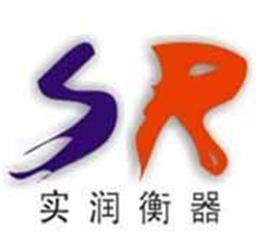 上海实润实业有限公司Logo