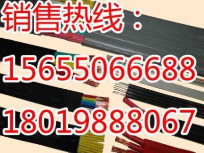 抗拉力耐磨扁平電纜 抗拉扁平電纜 耐磨