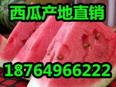 山東西瓜產(chǎn)地今日西瓜價格