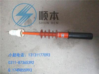 晋城优质高压验电器 10kv声光式验电器