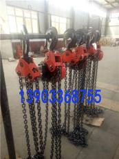 辽宁20吨环链电动葫芦同步群吊电动葫芦生产