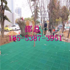秦皇岛塑料植草格供应