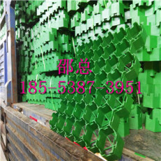 南通塑料植草格 南通塑料植草格