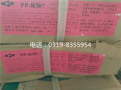 上海电力PP-R107耐热钢电焊条