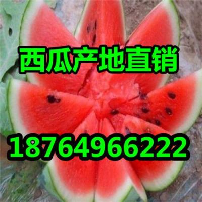 供應(yīng)大棚西瓜今日山東西瓜價格