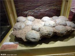 山西水晶恐龙蛋化石怎么鉴定真假