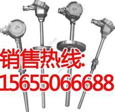 WRN-430-F耐腐熱電偶