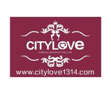 宁波创意求婚策划公司CITYLOVE感动惊喜求婚