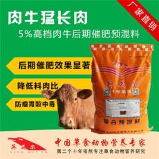 養(yǎng)牛吃什么飼料長肉快-育肥牛飼料配方