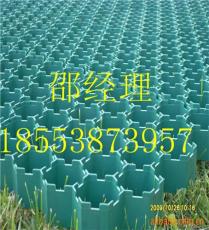 哈尔滨塑料植草格-哈尔滨塑料植草格厂家