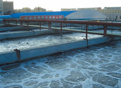 白酒厂污水处理专用阳离子聚丙烯酰胺絮凝剂