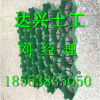 HDPE塑料植草格-塑料植草格规格