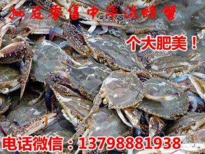 汝城桂东水产市场中华螃蟹价格