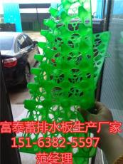 温州排水板 蓄排水板 厂家