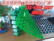 绍兴屋顶绿化蓄排水板施工