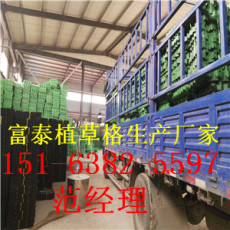 PVC塑料植草格厂家2016 绿化植草格规格