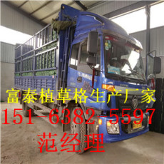 金华蓄排水板厂家/屋顶蓄排水板价格/