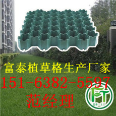 山东植草格厂家/塑料植草格规格/