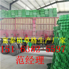 安徽植草格生产厂家 免费邮寄样品