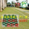 威海PVC植草格/绿化植草格/塑料植草格/