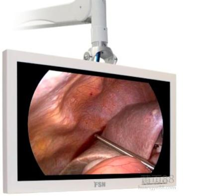 廠家直銷FSN26寸24寸監視器FS-L2403D 2601D