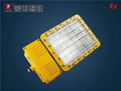 BR9500防爆泛光燈-榮的照明