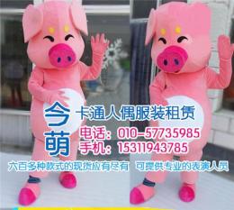 北京卡通服装出租卡通行走人偶公司动物卡通