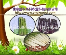 长兴芦笋种植的品种有哪些