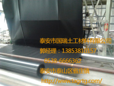 北京0.5毫米土工膜价格 泰安国瑞土工提供