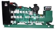 湖南發(fā)電機(jī)組 柴油發(fā)電機(jī)組的產(chǎn)品參數(shù)