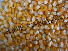 大盛原料现款求购玉米高粱小麦大米碎米