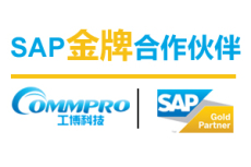 佛山SAP代理商 佛山SAP实施公司