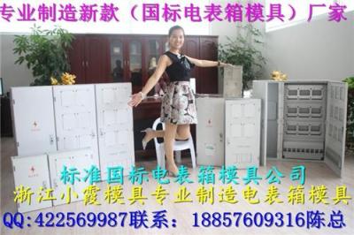 定做3表电表箱塑胶模具 PC注射电表箱模具