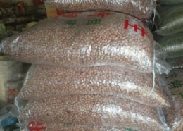 公司新到一批美国的花生米4200元