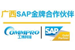 广西南宁SAP代理商 广西ERP公司