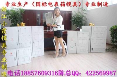 广西无锡工业电表箱模具 ABS电表箱模具