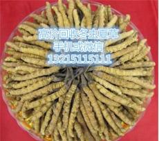 东莞哪有回收虫草 东莞哪有回收冬虫夏草