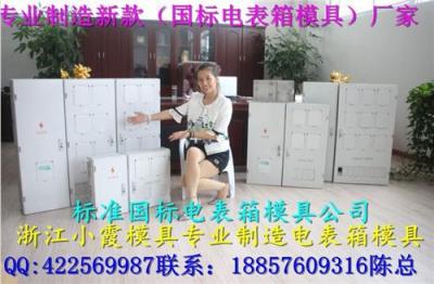 开塑胶模具 11表电表箱模具 PC电表箱模具