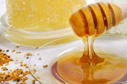 欧洲国家进口天津蜂蜜 进口蜂蜜需要什么资