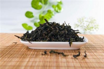 大南山茶侨区茶叶产业升级提质 种植将达万