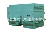 西安高压电机修理陕西泰玛电机修理厂