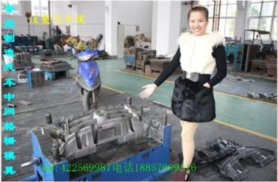 小型汽車內(nèi)飾件模具 小型汽車擋泥板模具