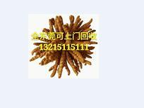 东莞高价回收虫草 东莞上门回收虫草