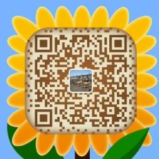湖南省肉牛價格表湖南省肉牛市場湖南省肉牛