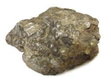 2016年橄榄陨石现在价格有多高