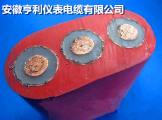 氟塑料護(hù)套的YFB行車用扁電纜