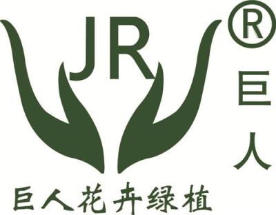 南昌巨人花卉 南昌辦公花卉綠植盆栽租擺
