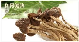 上海虹口那有茶树菇批发直销价格多少