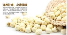 上海闵行那有莲子茶树菇批发 价格多少