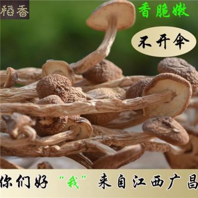 上海那有莲子 茶树菇批发 价格多少